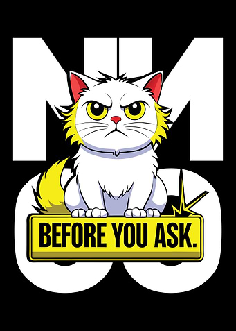 No Before You Ask