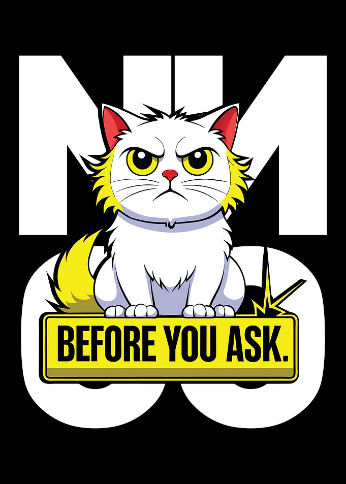 No Before You Ask