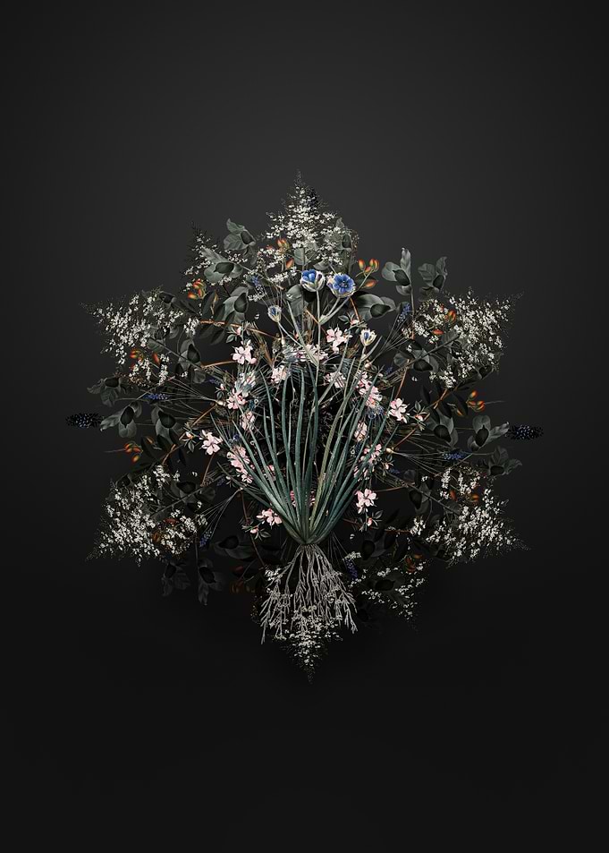 Floral Blue Corn Lily Wreath Arrangement on Black