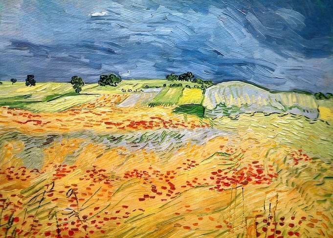 Fields with Blooming Poppies