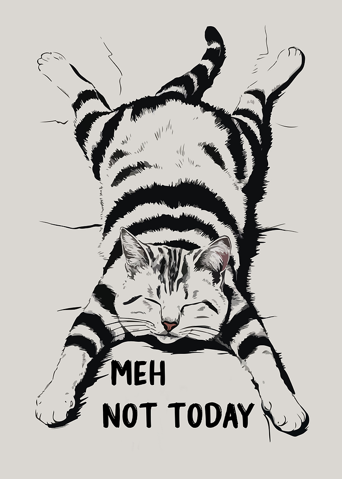 Cat Saying 'Meh Not Today'