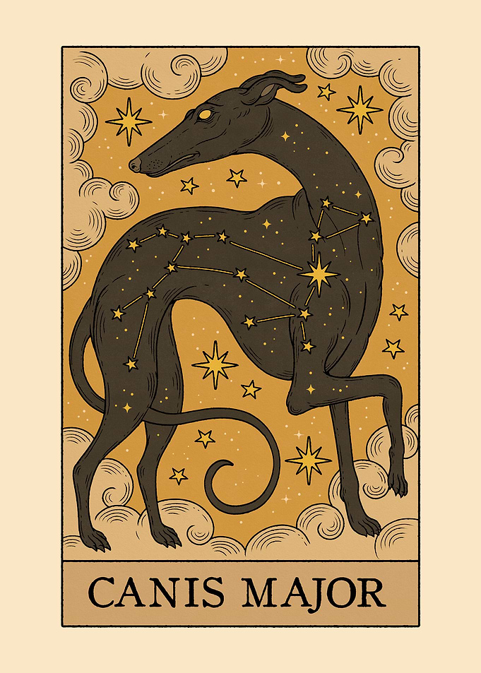 Canis Major