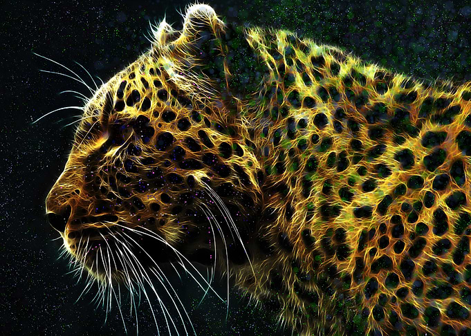 Leopard in Neon Lights