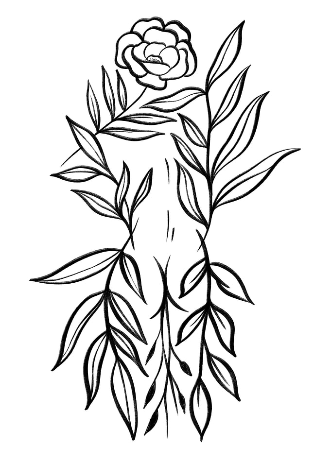 Flora