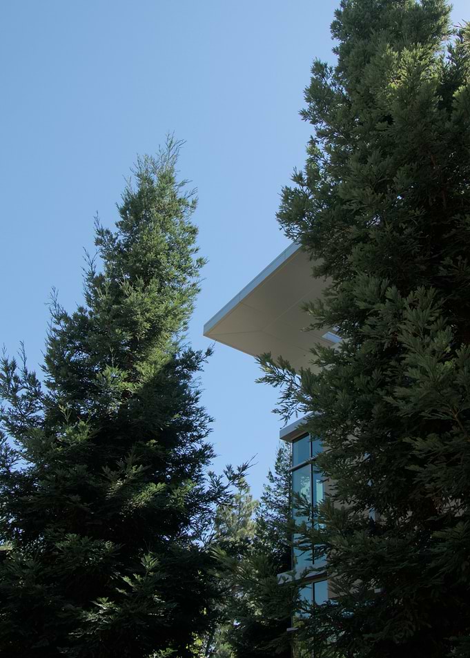 Modern Building with Forest all around