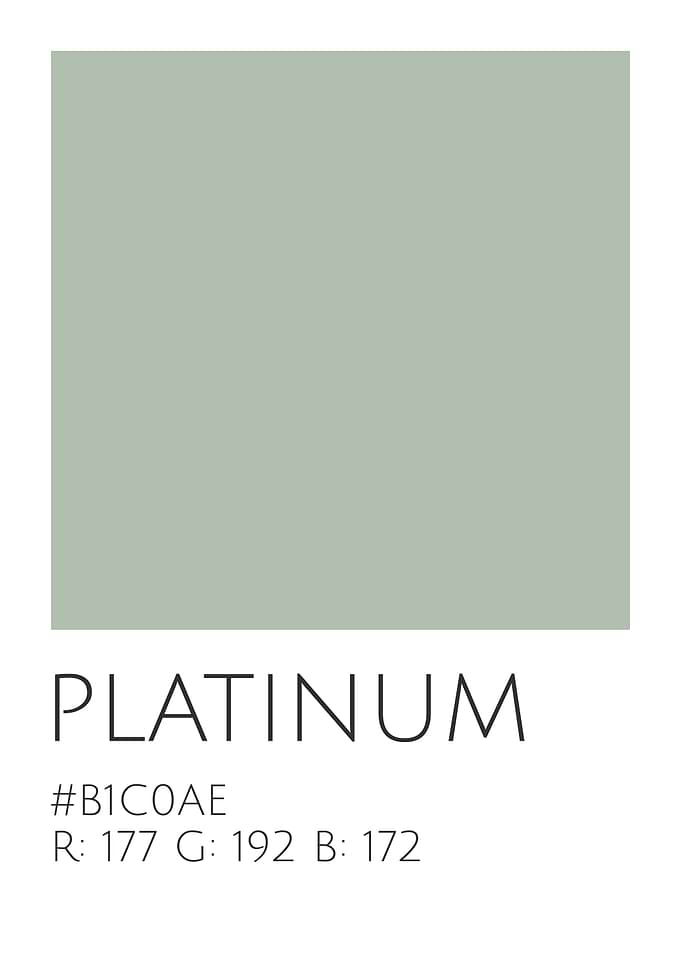 Platinum Color Palette