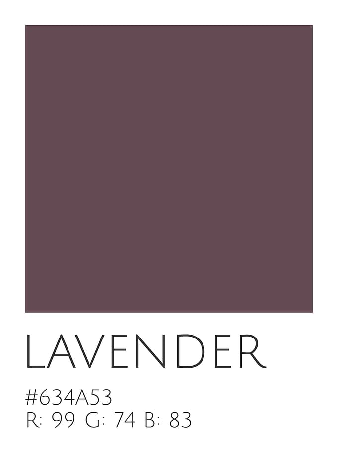 Lavender Color Palette