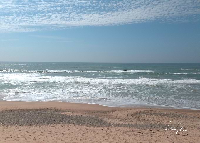 Ocean Beach Landscape