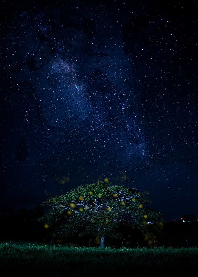 Milky Way Night Sky Fairy Tree