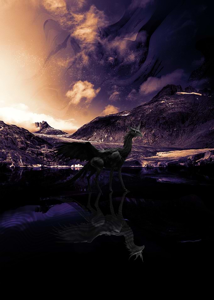 Dark Winged Dragon Fantasy Creature
