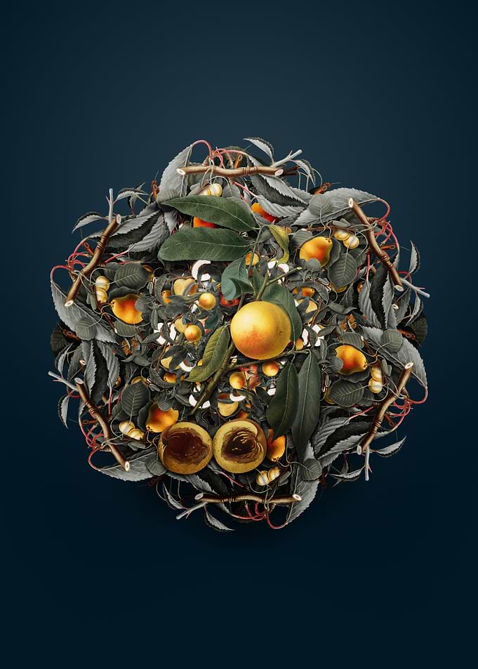 Vintage Peach Wreath Fruit and Branch Collage