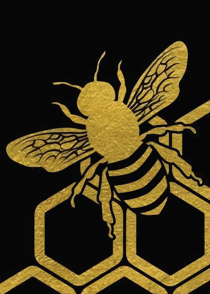Golden Bee on Honeycomb