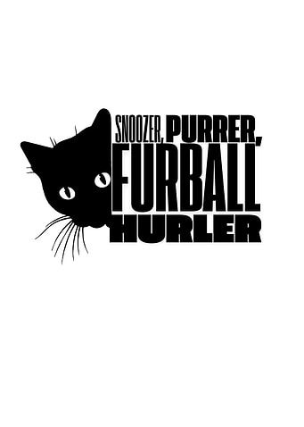 Cat Pun Graphic