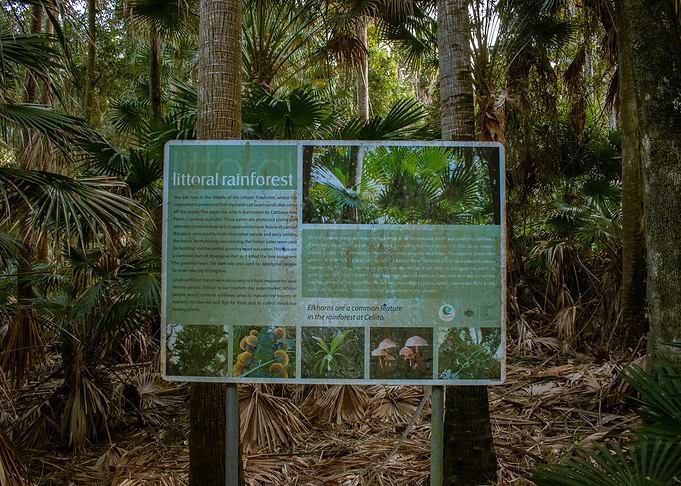 Littoral Rainforest