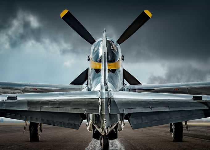P-51 Mustang Fighter Plane