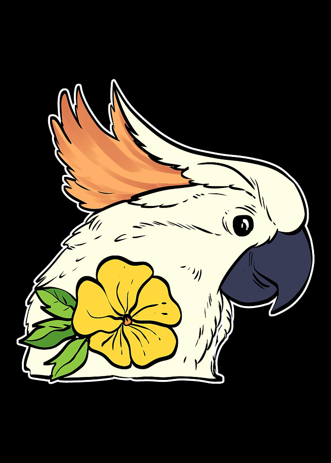 Cockatoo Bird Wildlife Bio
