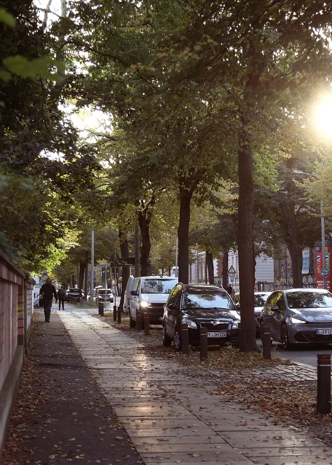 Autumn Street Scene