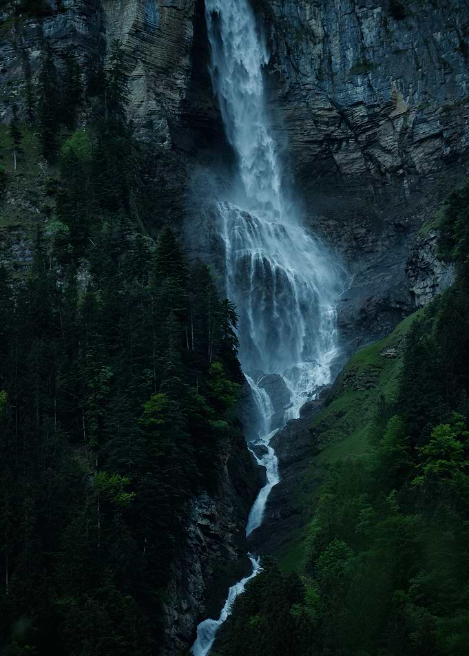 Waterfall in Lush Forest