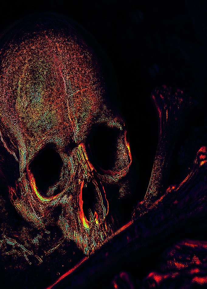 Lost Skull And Bones