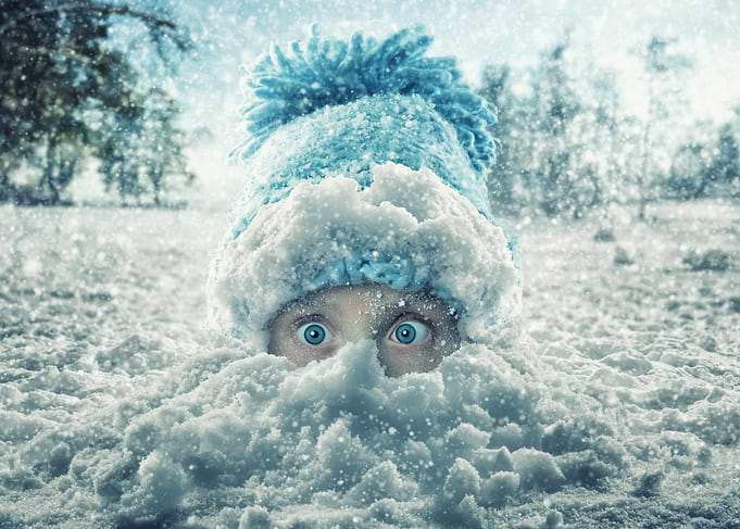 Snowed In Surprise