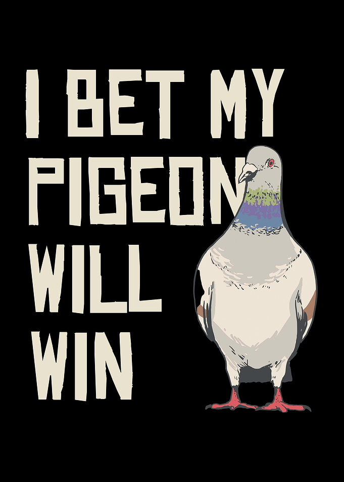 Pigeon Bet Funny Graphic