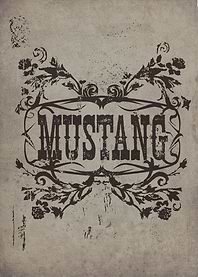 Mustang graphics