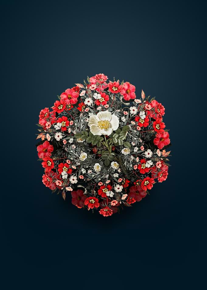 Burnet Rose Wreath Circle on Blue