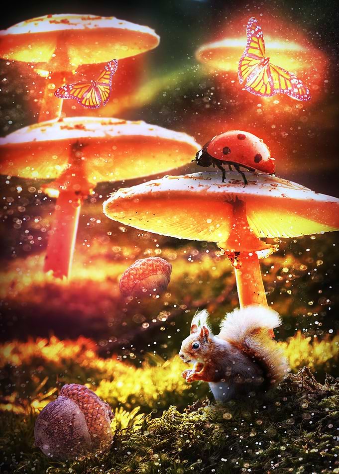 Magical Forest mushroom