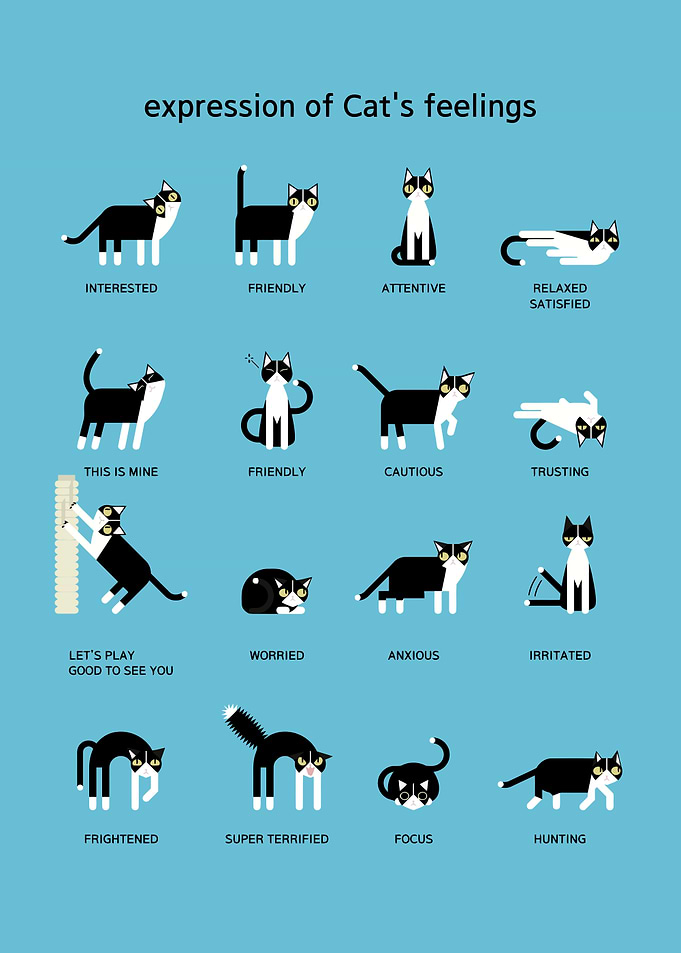 Cat Feelings Chart