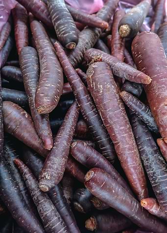 Purple Carrots Close-Up
