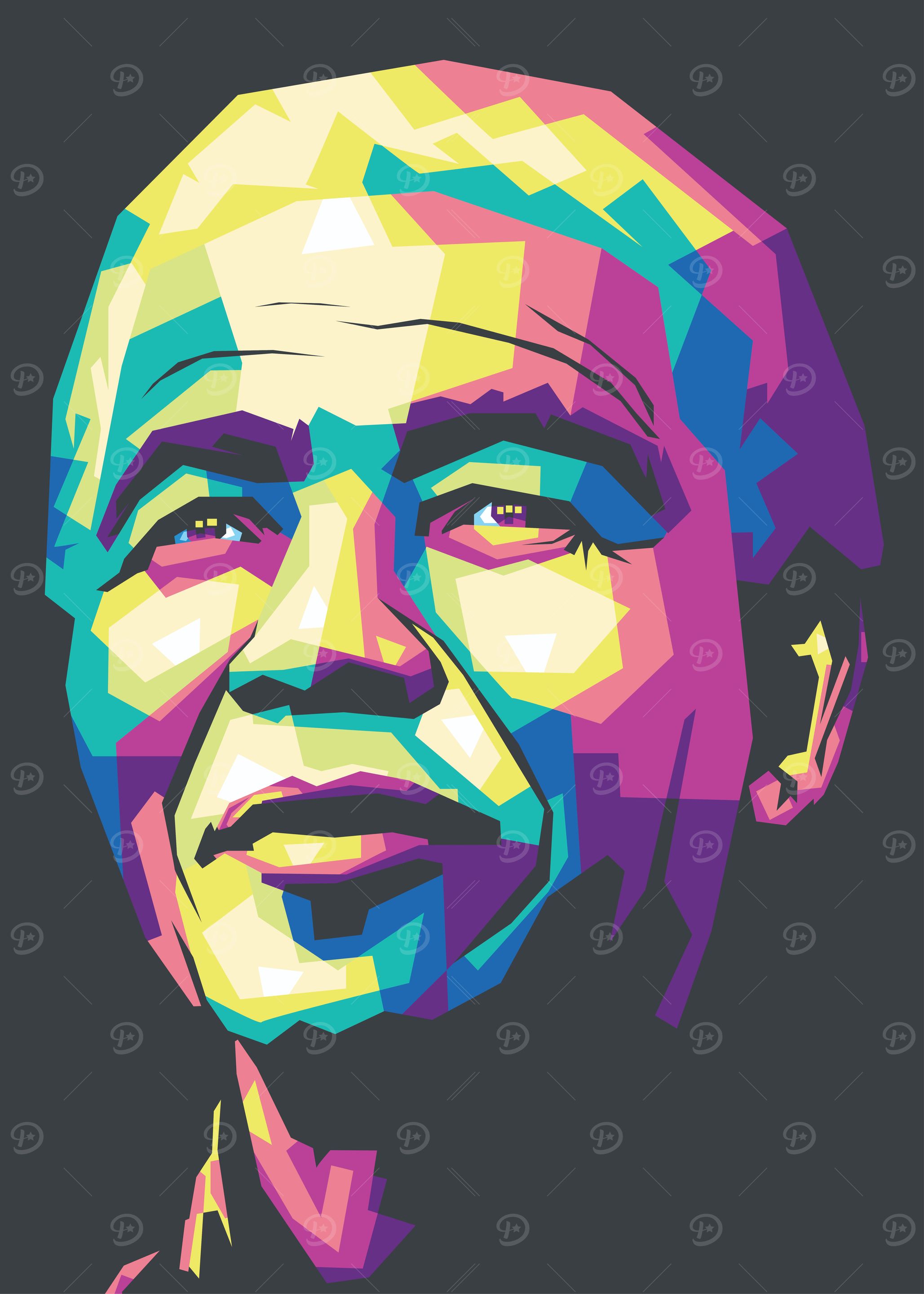 Nelson Mandela Pop Art Portrait