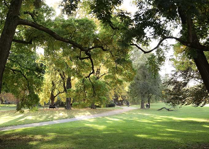 Park Path in Autumn