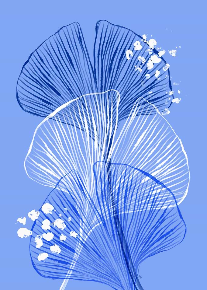 Blue Ginkgo Leaves