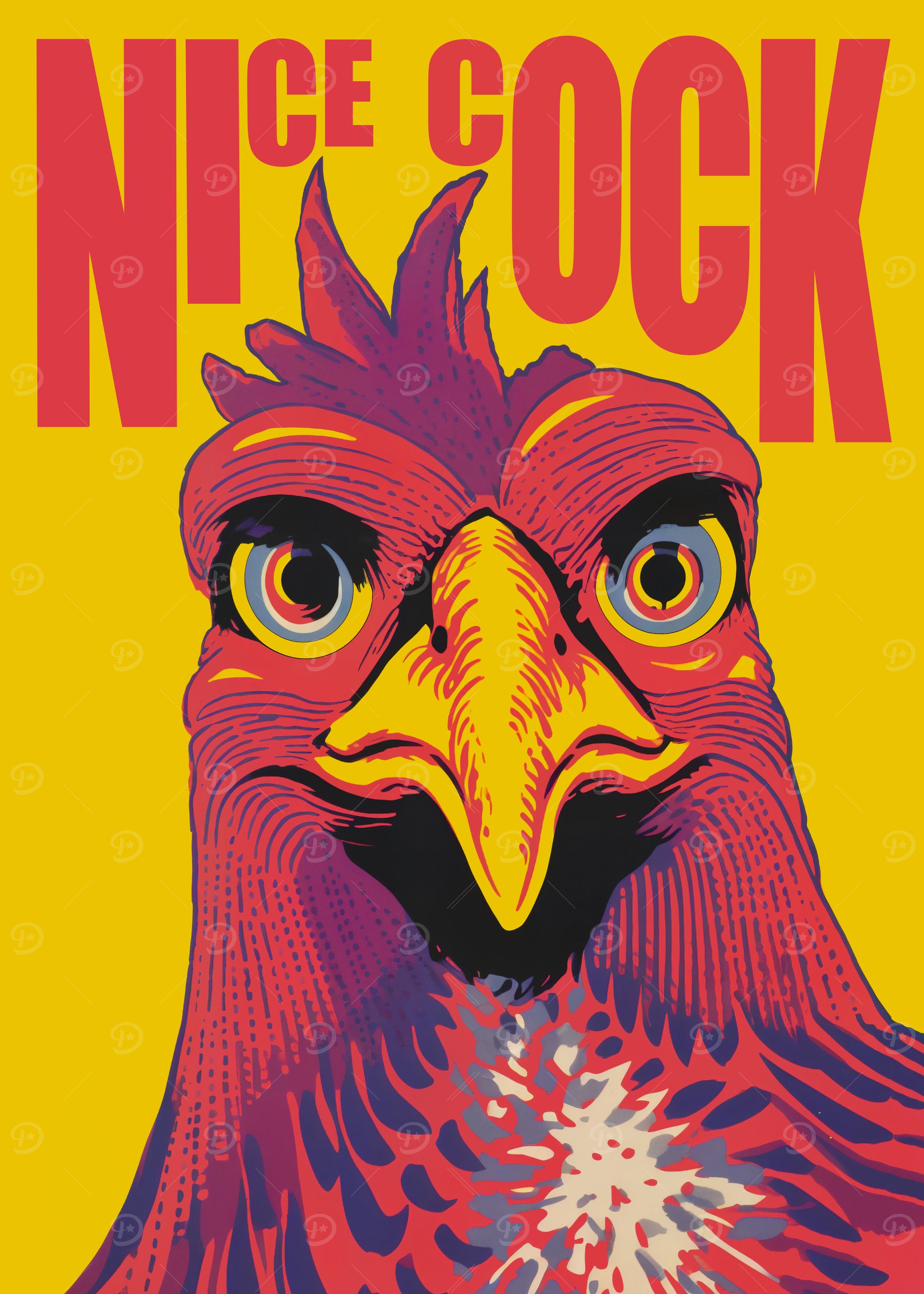 Nice Cock Rooster