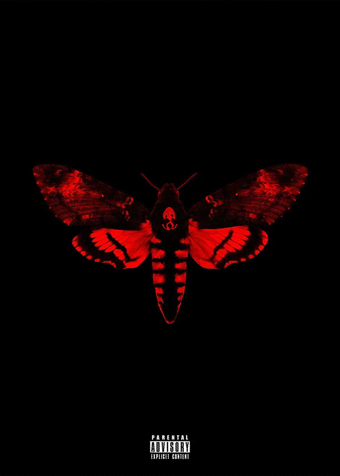 Lil Wayne Rapper Music