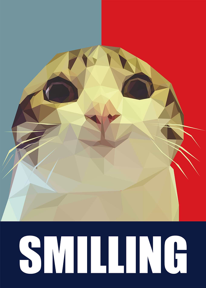 Smiling Cat Poster