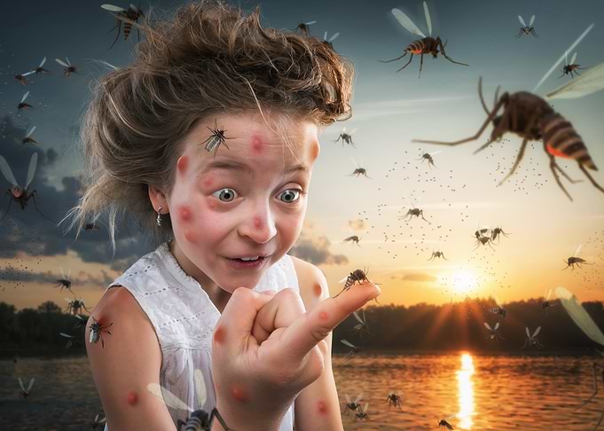 Mosquito Bite Humor
