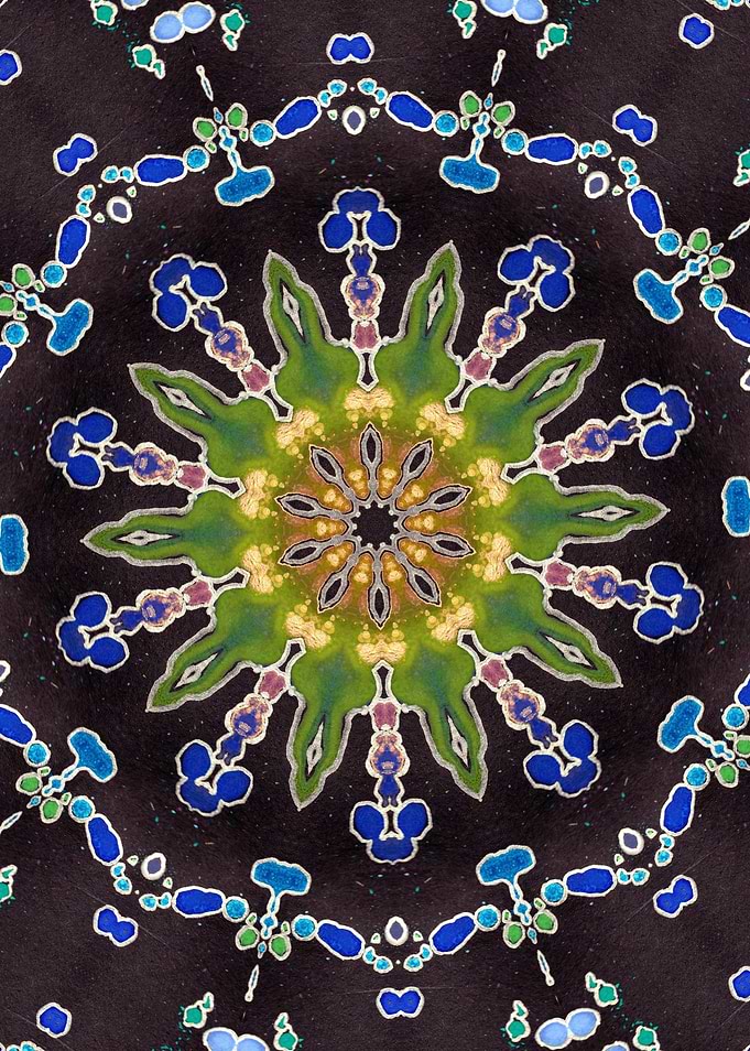 Jewelled Lily Pad