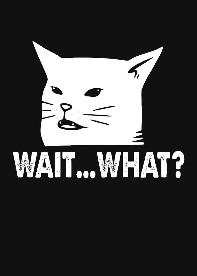 Wait What Cat Meme