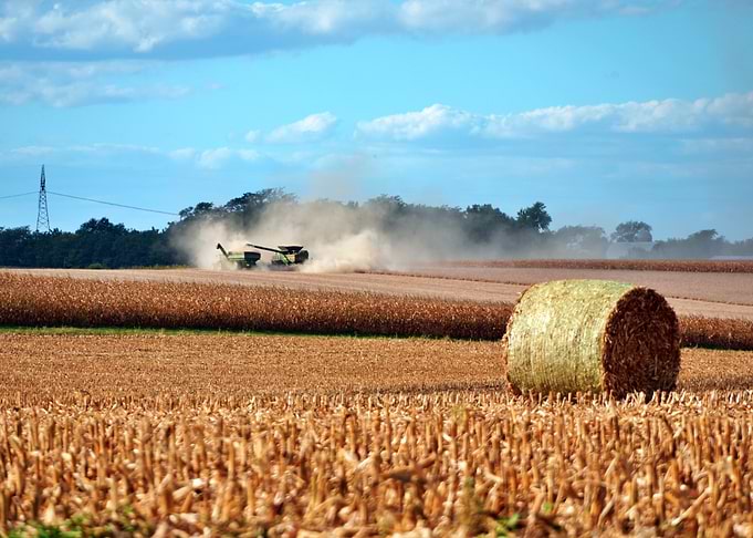 Harvesting Hay in a Field