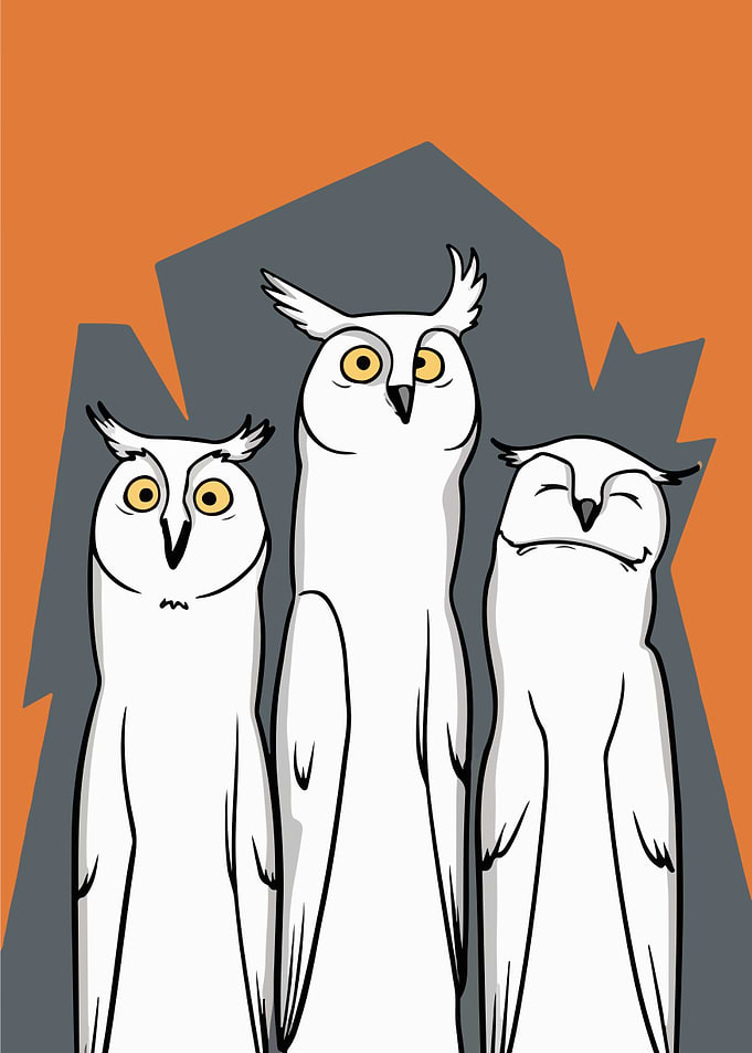 Three Owls Cartoon