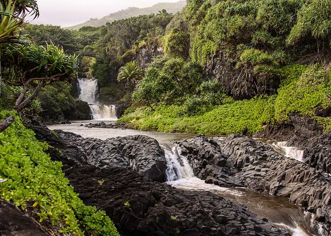 Waterfall in Lush Jungle in Hawaii