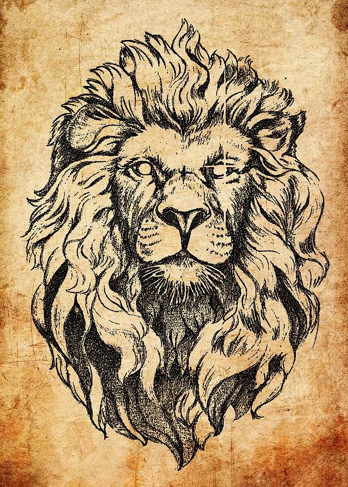 Lion Head Sketch