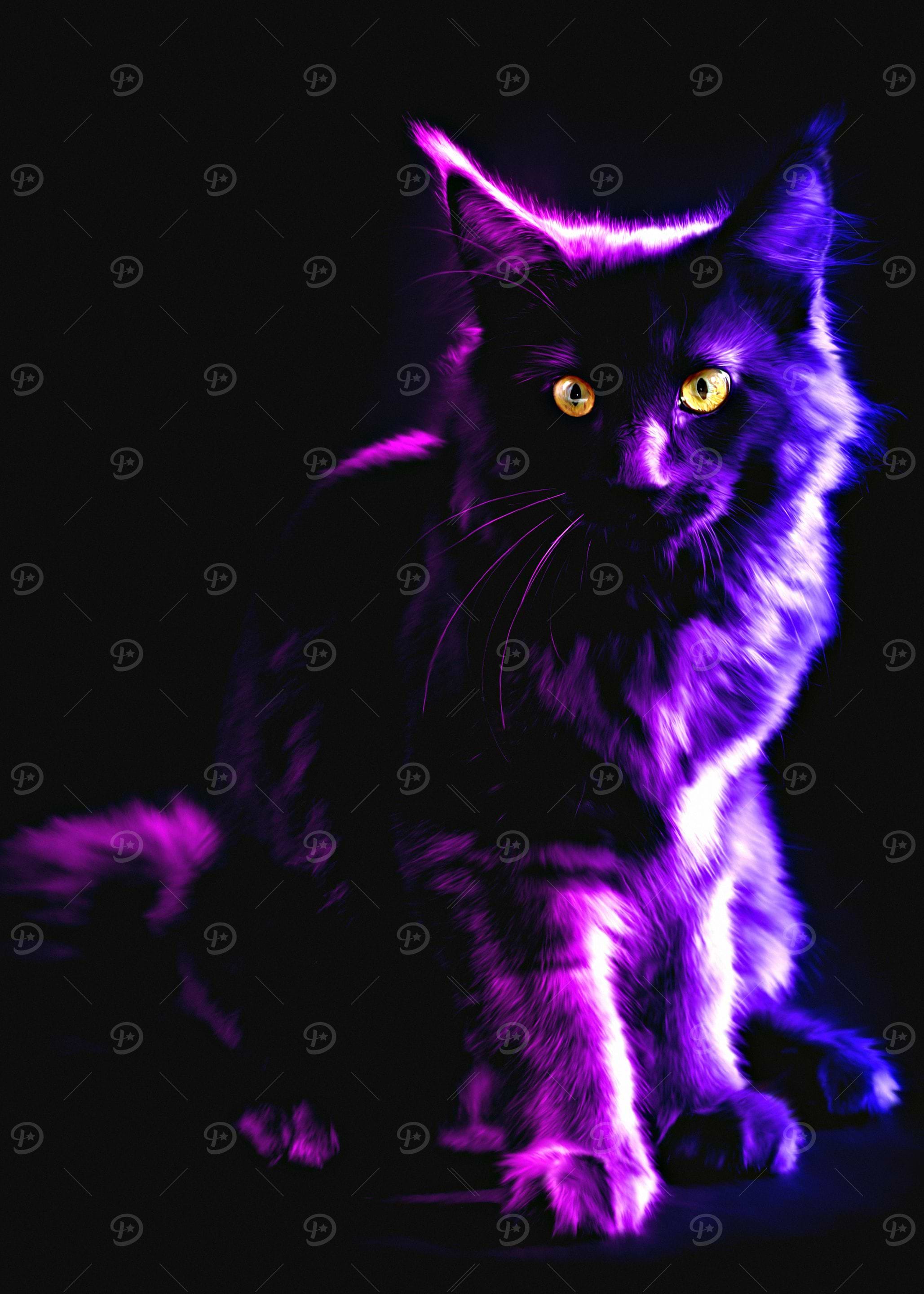 Purple Neon Cat