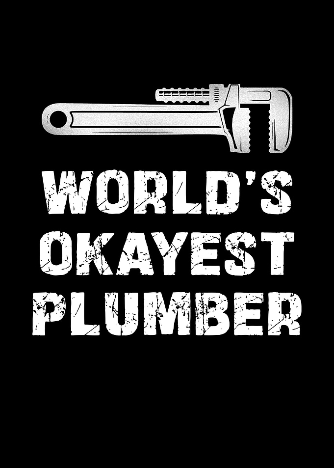 World's Okayest Plumber
