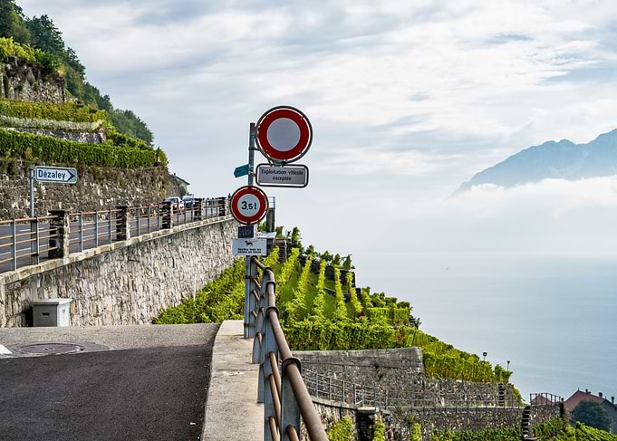 Swiss Vineyards