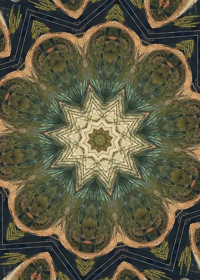 Portal to Nature