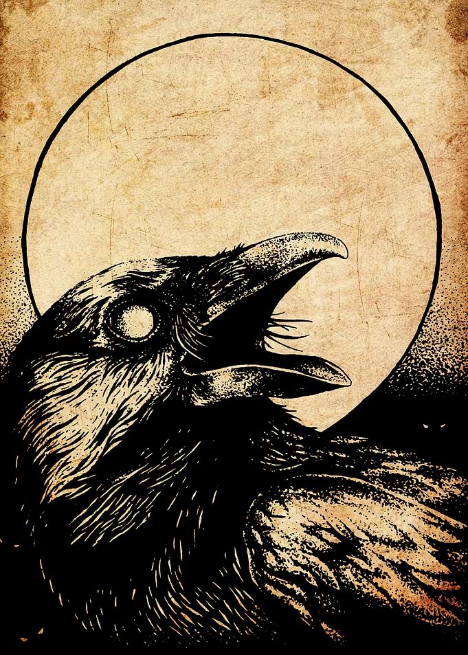 Raven Moon Illustration