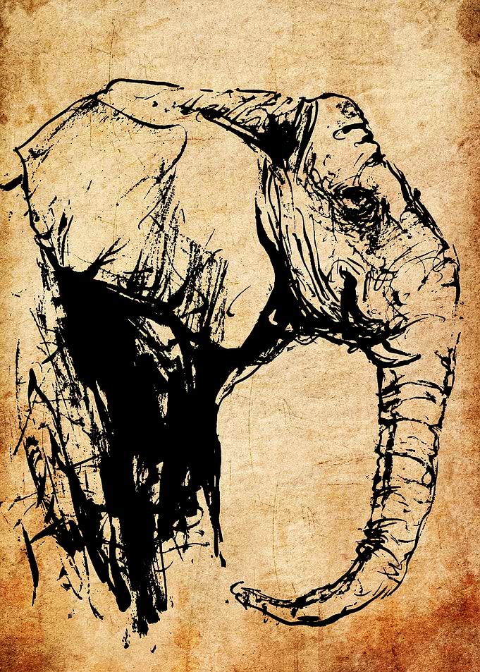 Elephant Sketch on Parchment