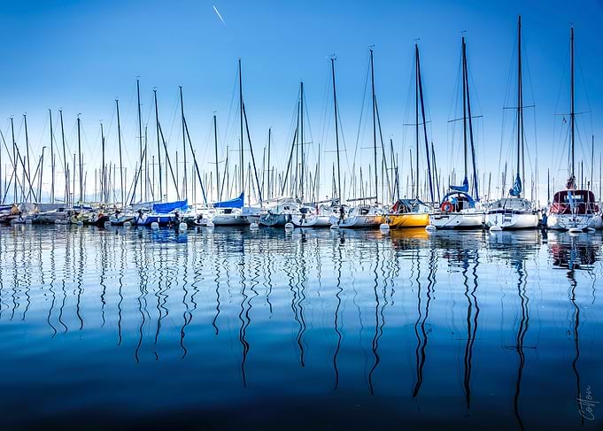 Sailboats at Marina